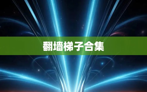 翻墙梯子合集