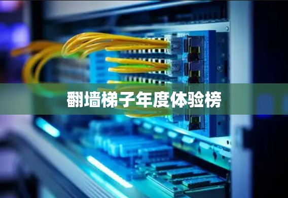 翻墙梯子年度体验榜