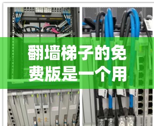 翻墙梯子的免费版是一个用于绕过互联网防火墙的工具，通常仅限于访问特定网站或文件。以下是对免费版的详细介绍