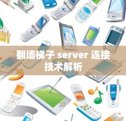 翻墙梯子 server 连接技术解析