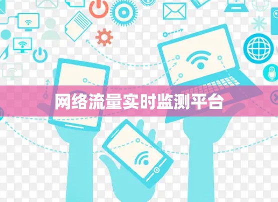 网络流量实时监测平台