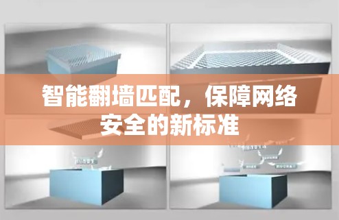 智能翻墙匹配，保障网络安全的新标准