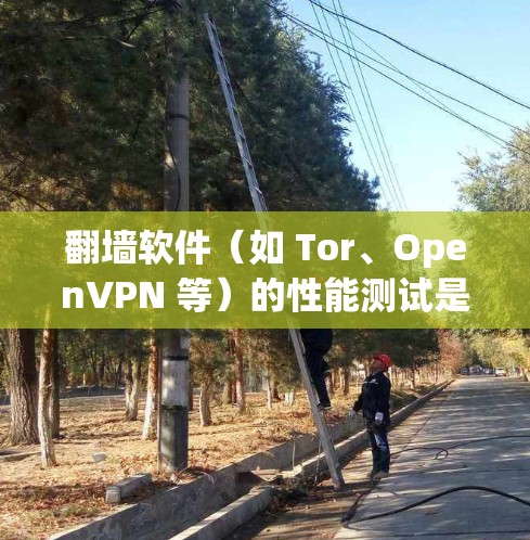 翻墙软件（如 Tor、OpenVPN 等）的性能测试是评估其稳定性、响应能力和安全性的关键步骤。以下是一些常见的性能测试方法和分析方向
