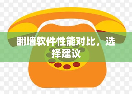 翻墙软件性能对比，选择建议