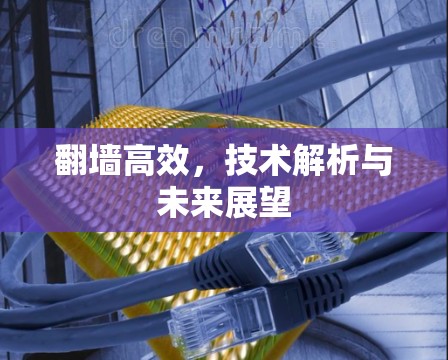 翻墙高效，技术解析与未来展望