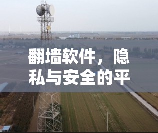 翻墙软件，隐私与安全的平衡