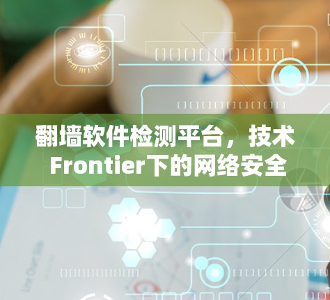 翻墙软件检测平台，技术 Frontier下的网络安全防护