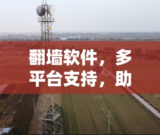 翻墙软件，多平台支持，助力网络安全