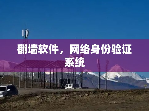 翻墙软件，网络身份验证系统