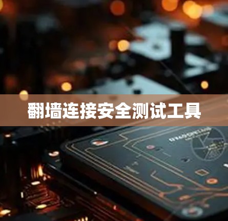 翻墙连接安全测试工具