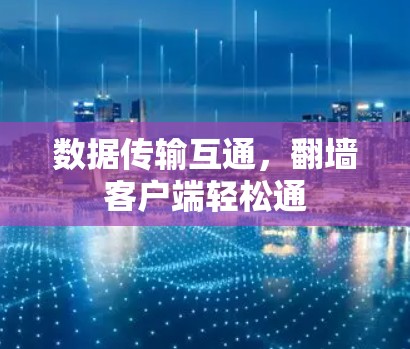 数据传输互通，翻墙客户端轻松通