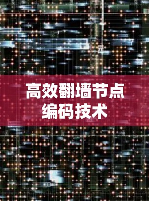 高效翻墙节点编码技术