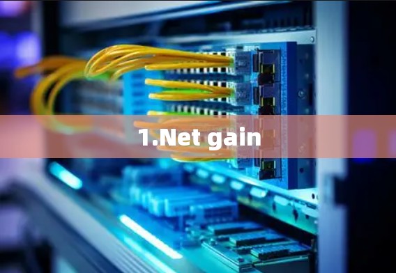 1.Net gain