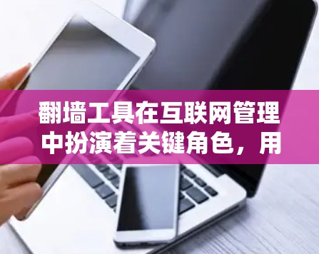 翻墙工具在互联网管理中扮演着关键角色，用于将用户从普通互联网转移到特定翻墙目标。以下是对翻墙工具管理的详细分析