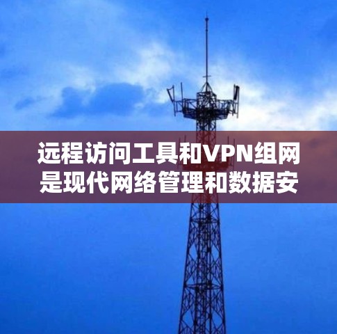 远程访问工具和VPN组网是现代网络管理和数据安全的重要组成部分。以下是对远程访问工具和VPN组网方案的分析，涵盖设计、实施、监控和安全措施等方面