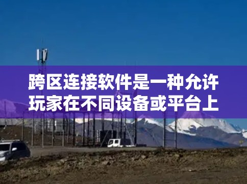 跨区连接软件是一种允许玩家在不同设备或平台上游戏的工具，通常通过特定的注册和登录流程实现。以下是关于跨区连接软件的详细分析