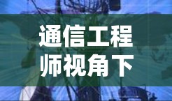 通信工程师视角下的隐私网络连接工具