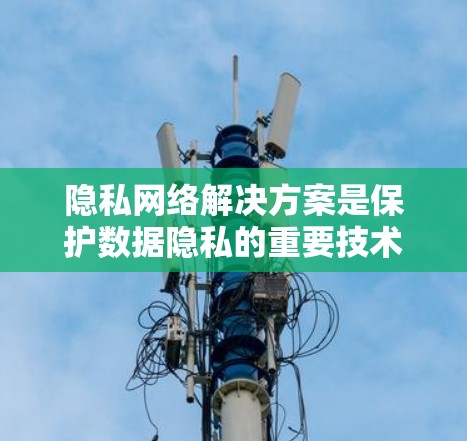 隐私网络解决方案是保护数据隐私的重要技术，涉及多个关键领域。以下是对该领域的一些总结和建议