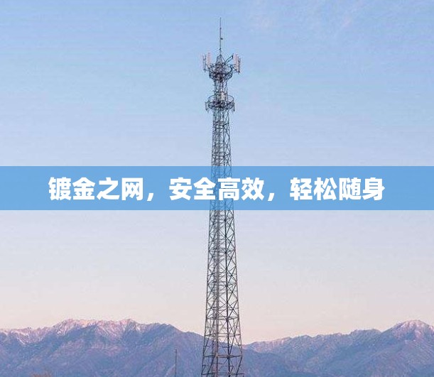 镀金之网，安全高效，轻松随身