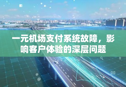 一元机场支付系统故障，影响客户体验的深层问题