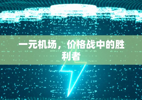 一元机场，价格战中的胜利者