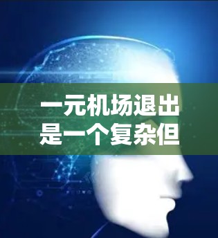 一元机场退出是一个复杂但可行的过程，涉及多个环节和专业的团队来处理。以下是一个详细的步骤指南
