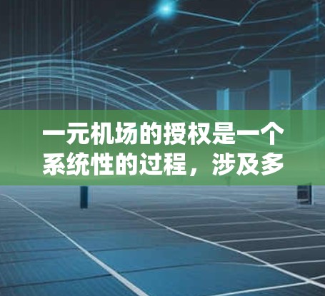一元机场的授权是一个系统性的过程，涉及多个关键环节。以下是详细的步骤和注意事项
