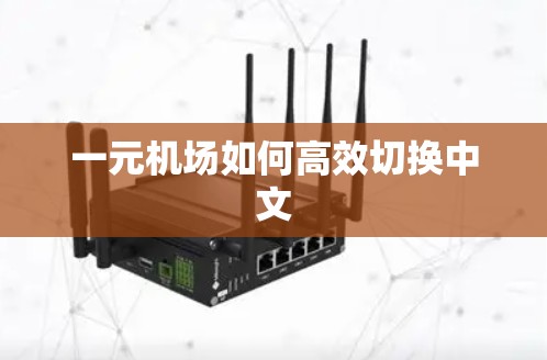 一元机场如何高效切换中文