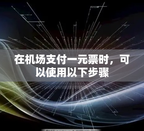 在机场支付一元票时，可以使用以下步骤