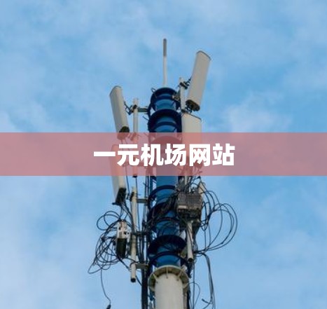 一元机场网站