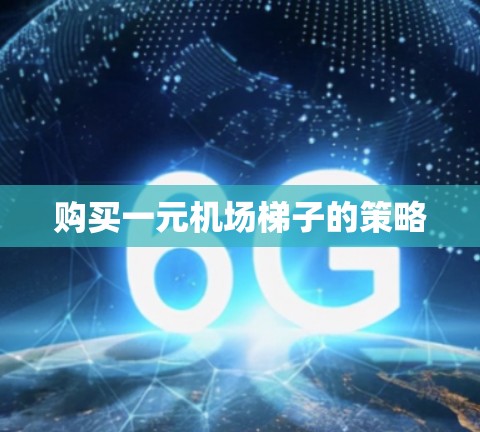 购买一元机场梯子的策略