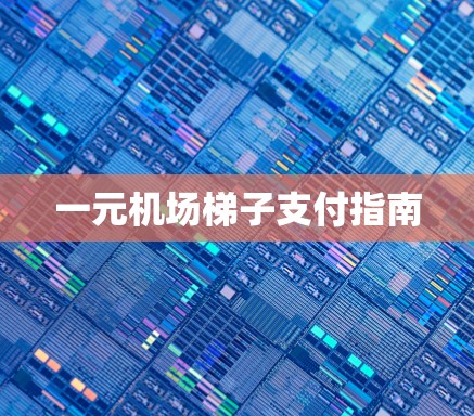 一元机场梯子支付指南