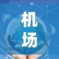 机场梯子，性价比之选