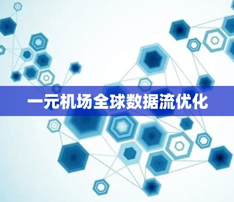 一元机场全球数据流优化