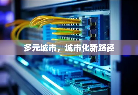多元城市，城市化新路径