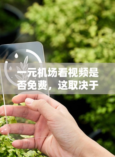 一元机场看视频是否免费，这取决于机场的具体情况。以下是一些关键信息和操作步骤