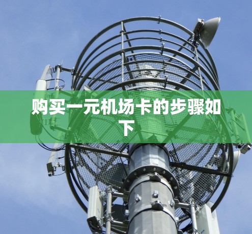 购买一元机场卡的步骤如下
