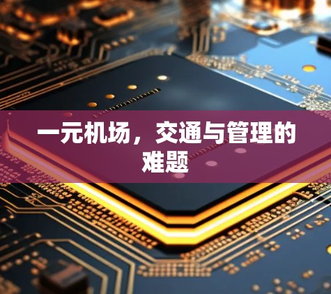 一元机场，交通与管理的难题