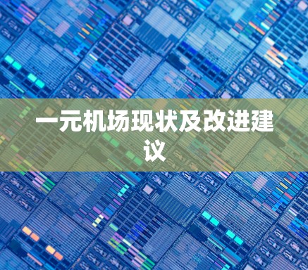 一元机场现状及改进建议