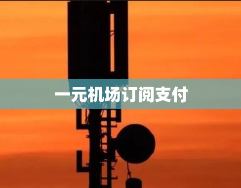一元机场订阅支付