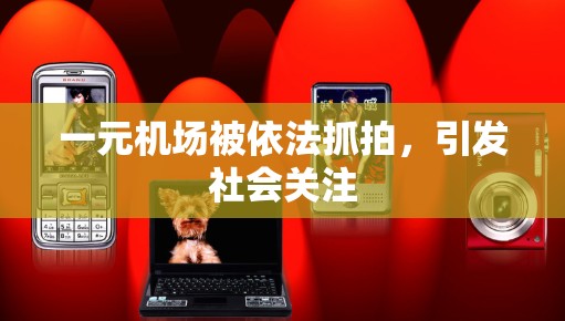 一元机场被依法抓拍，引发社会关注
