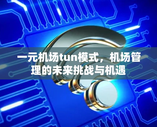一元机场tun模式，机场管理的未来挑战与机遇