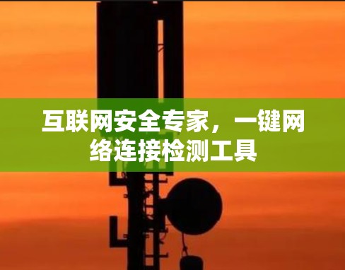 互联网安全专家，一键网络连接检测工具