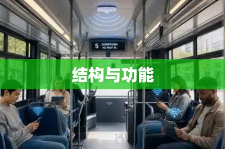 结构与功能