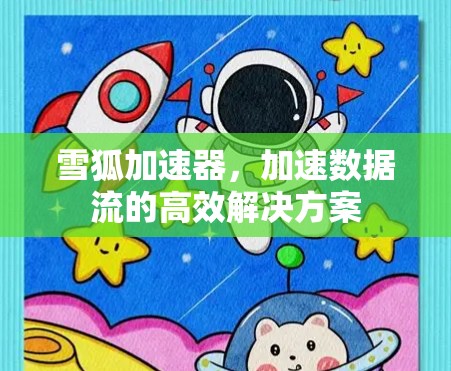 雪狐加速器，加速数据流的高效解决方案