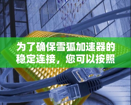 为了确保雪狐加速器的稳定连接，您可以按照以下步骤进行操作