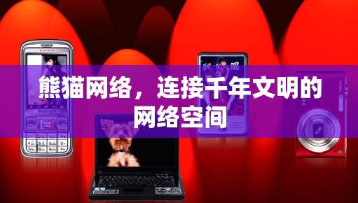 熊猫网络，连接千年文明的网络空间