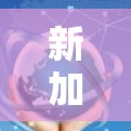 新加坡机场订阅，体验新加坡生活，开启新生活！
