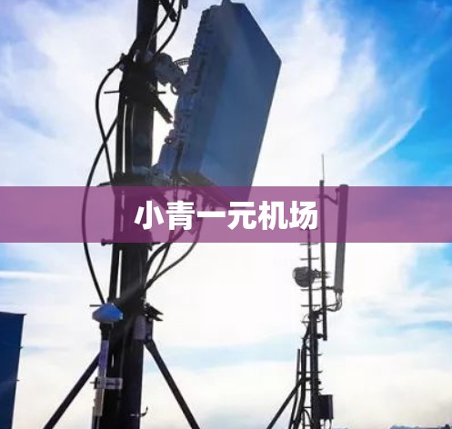 小青一元机场