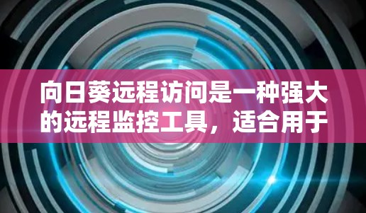 向日葵远程访问是一种强大的远程监控工具，适合用于远程监控和安全管理。以下是对向日葵远程访问的详细总结，帮助您更好地理解和应用该工具